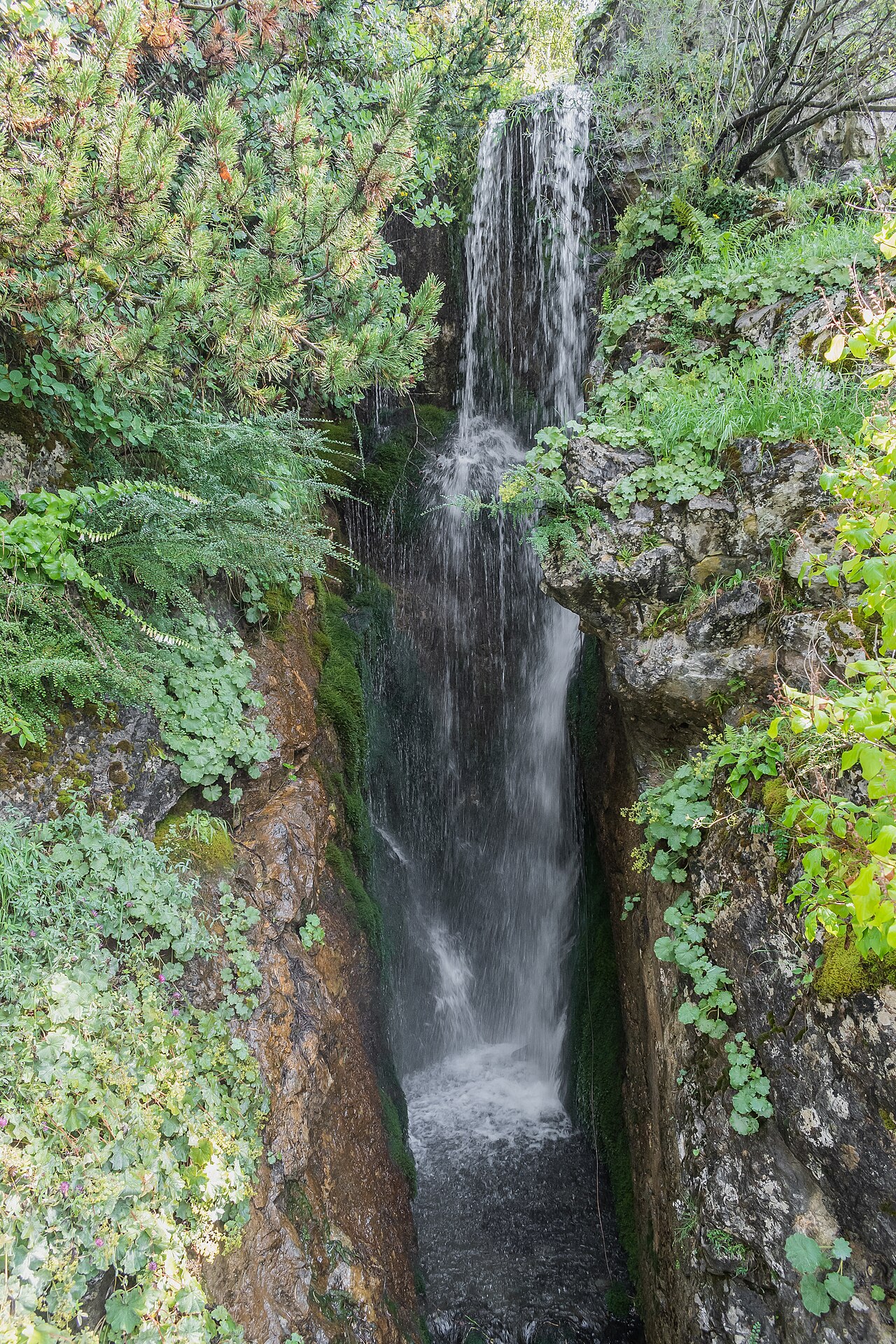 Une cascade dans le jardin de la Jaÿsinia, photographiée en juillet 2020.