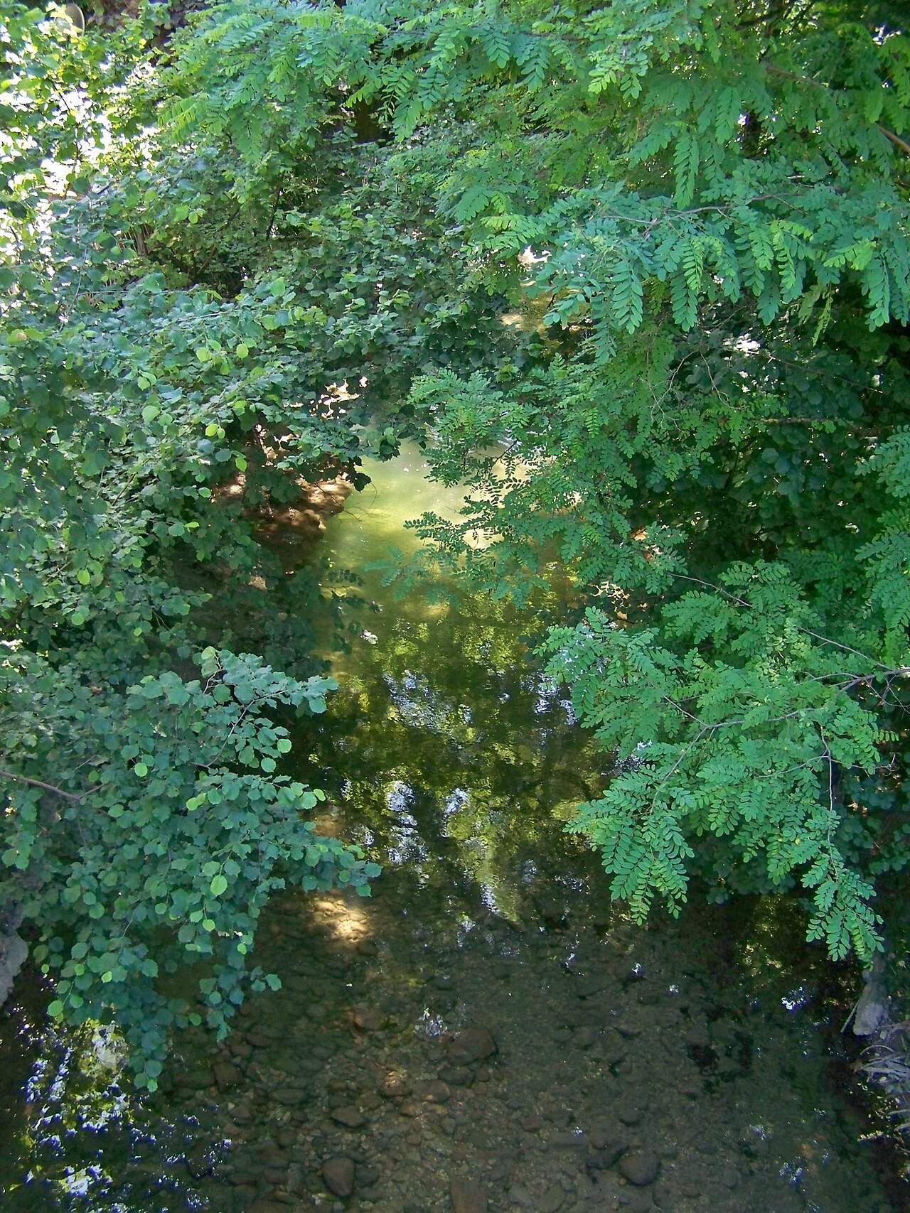 Le Laudon à Saint-Jorioz en juin 2012 ; illustration de la rivière.