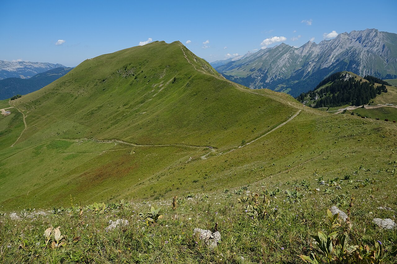 Les alpages du Sulens en été, vus depuis le Petit Sulens ; illustration du massif.